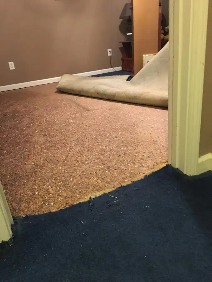 Carpet pad removal revealing water damage during Drying & Dehumidification in Wellston