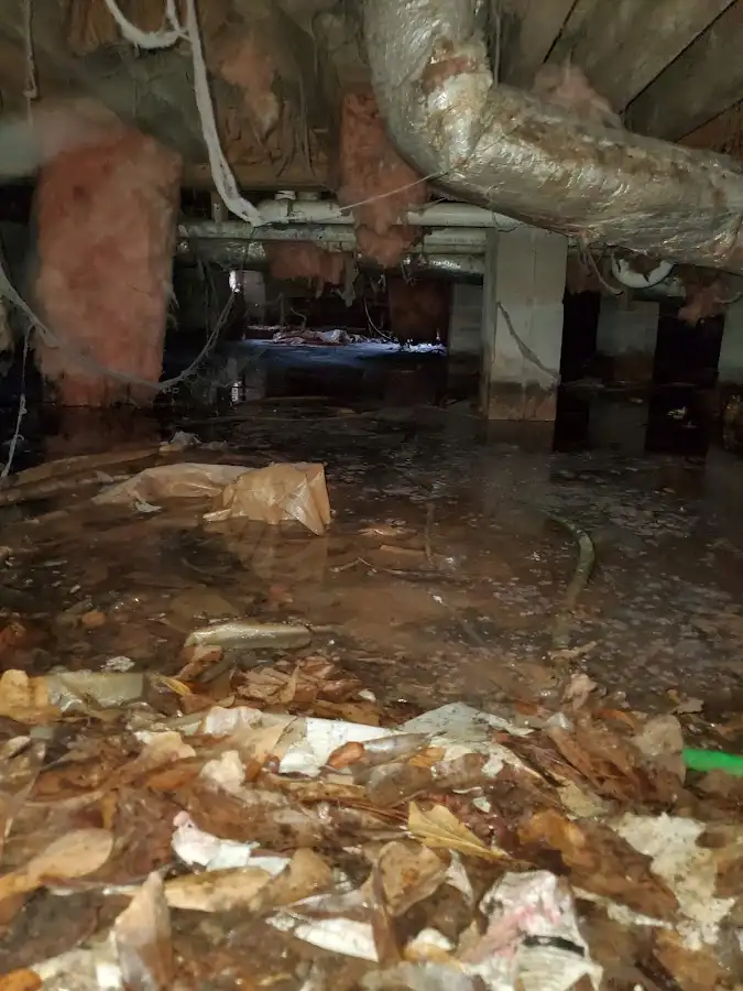 Crawl space flood assessment for Leak Detection & Repair in Wellston